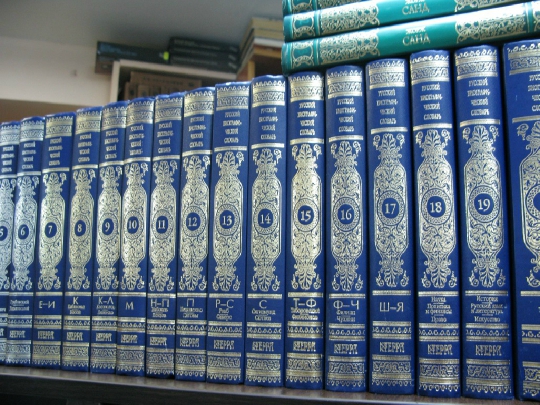 256.JPG