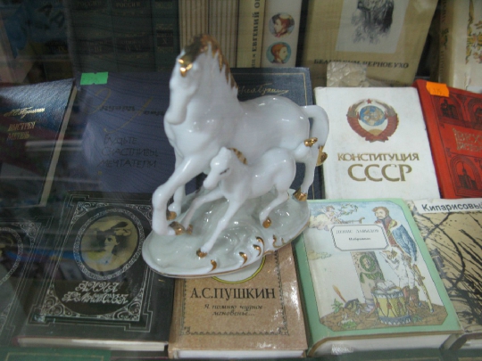 509.jpg